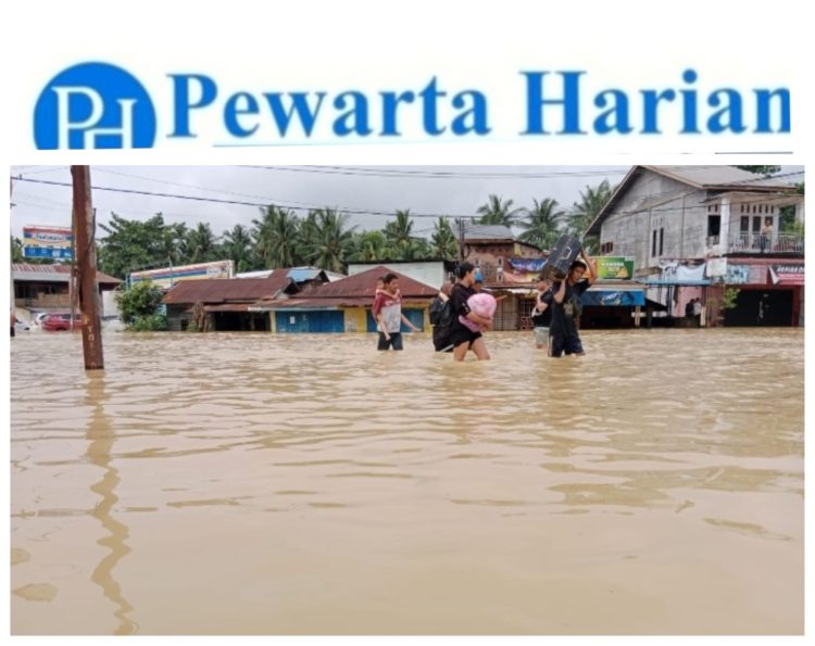 Dampak Banjir, Warga Pematang Tengah Tanjung Pura Lengkap dengan Penderitaan
