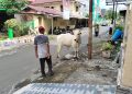 Biaya Hewan qurban Sapi Idul Adha di Sulut Mencapai Rp 68.219.000.000